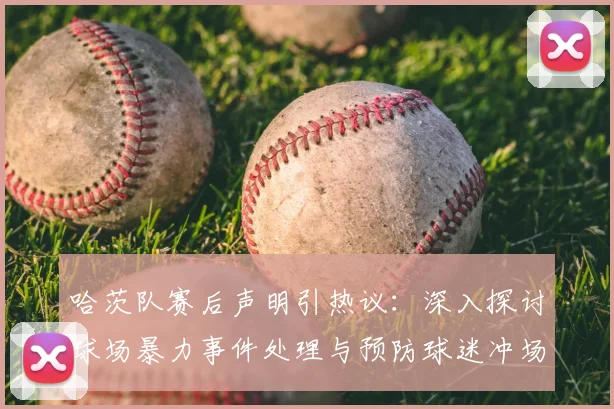 哈茨队赛后声明引热议:深入探讨球场暴力事件处理与预防球迷冲场措施